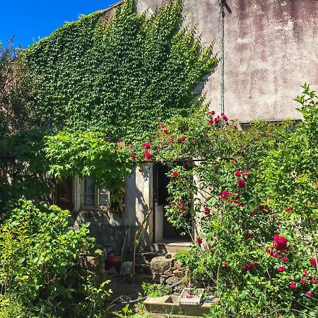 Le Mas Du Figuier, Maison De Vacances Le Bousquet-d'Orb Eksteriør bilde