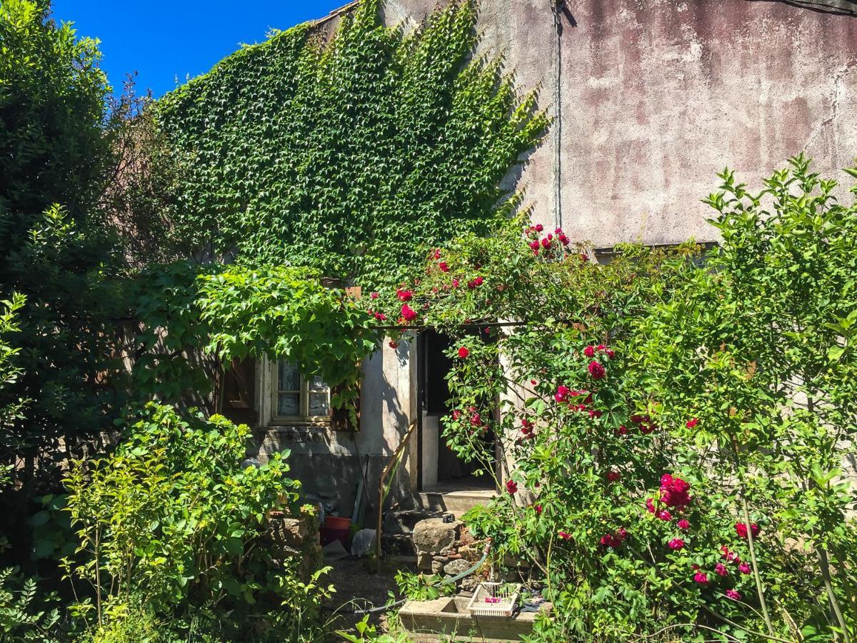 Le Mas Du Figuier, Maison De Vacances Le Bousquet-d'Orb Eksteriør bilde